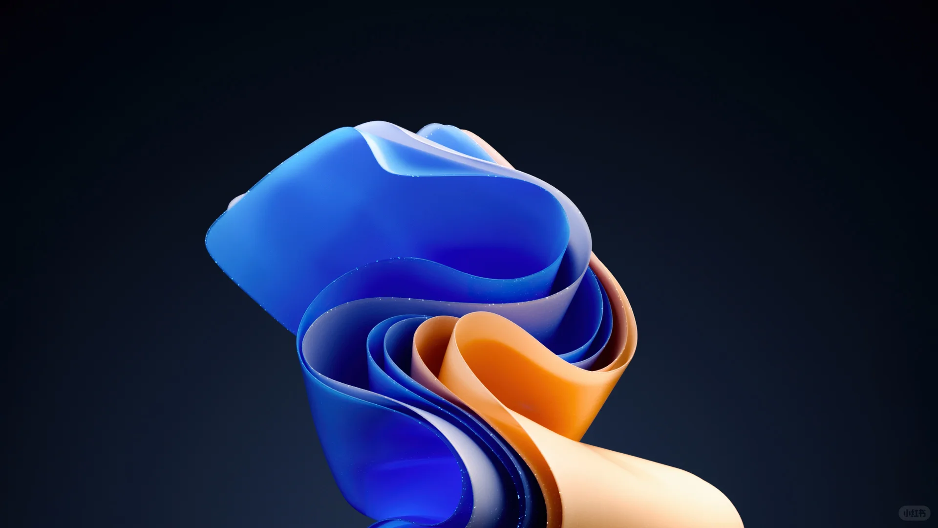 Win11-Moment2 4K超高清壁纸