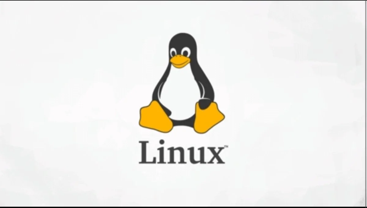 linux与windows区别