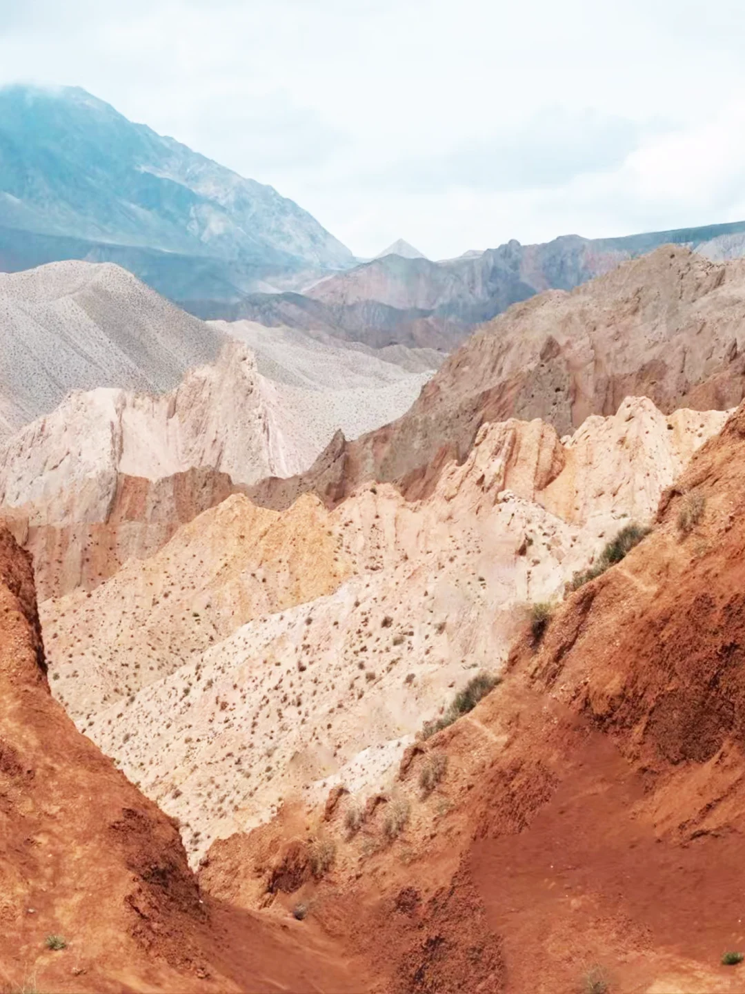 乌兰布统大草原｜我闯入Windows桌面
