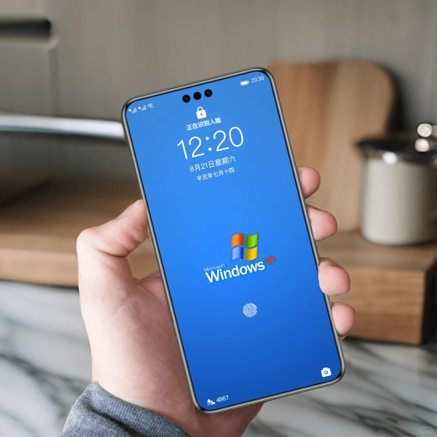 👨‍💻 壁纸-程序员，XP经典Logo 😃