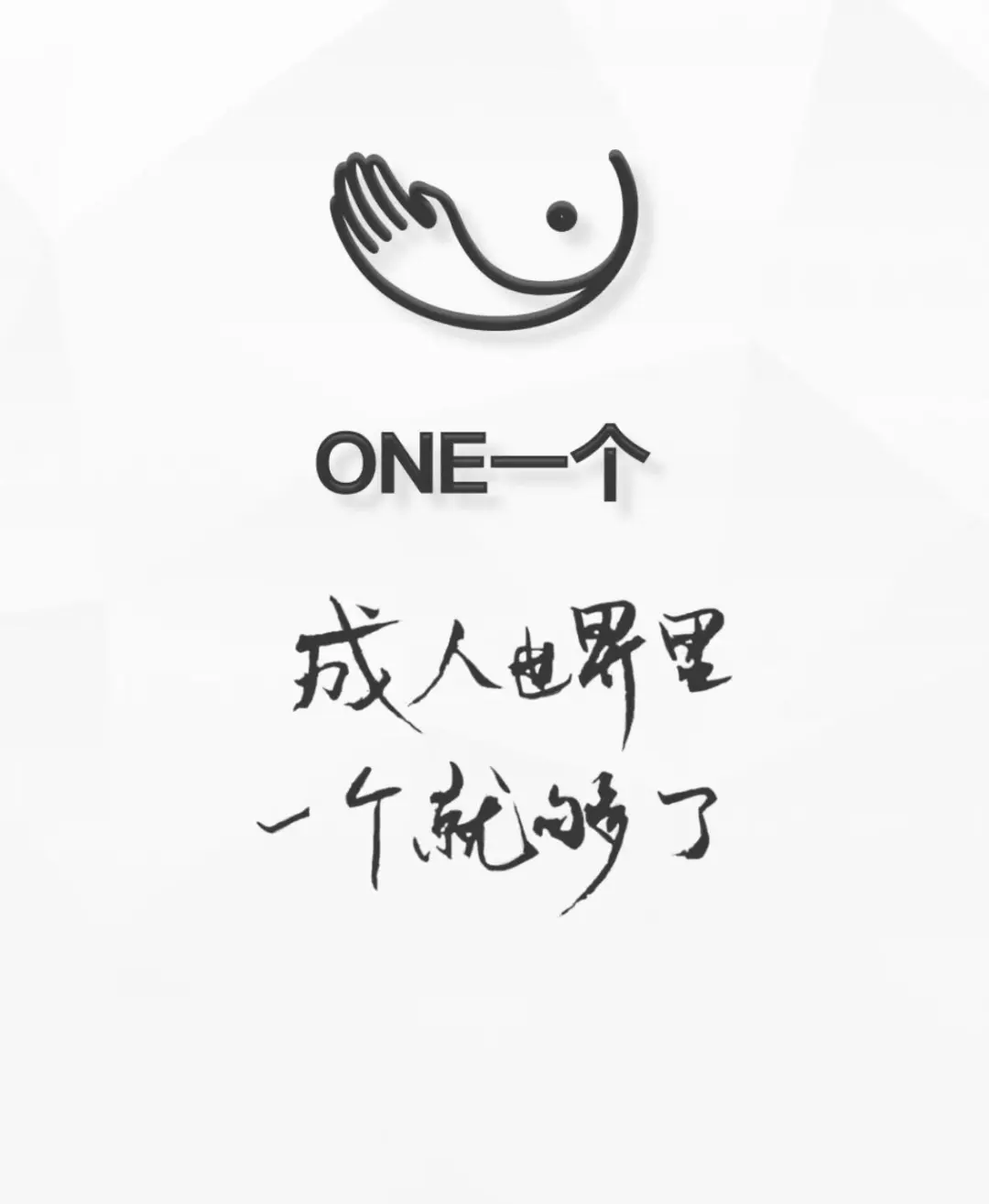 致敬韩寒，成年人的世界，一个就够了！