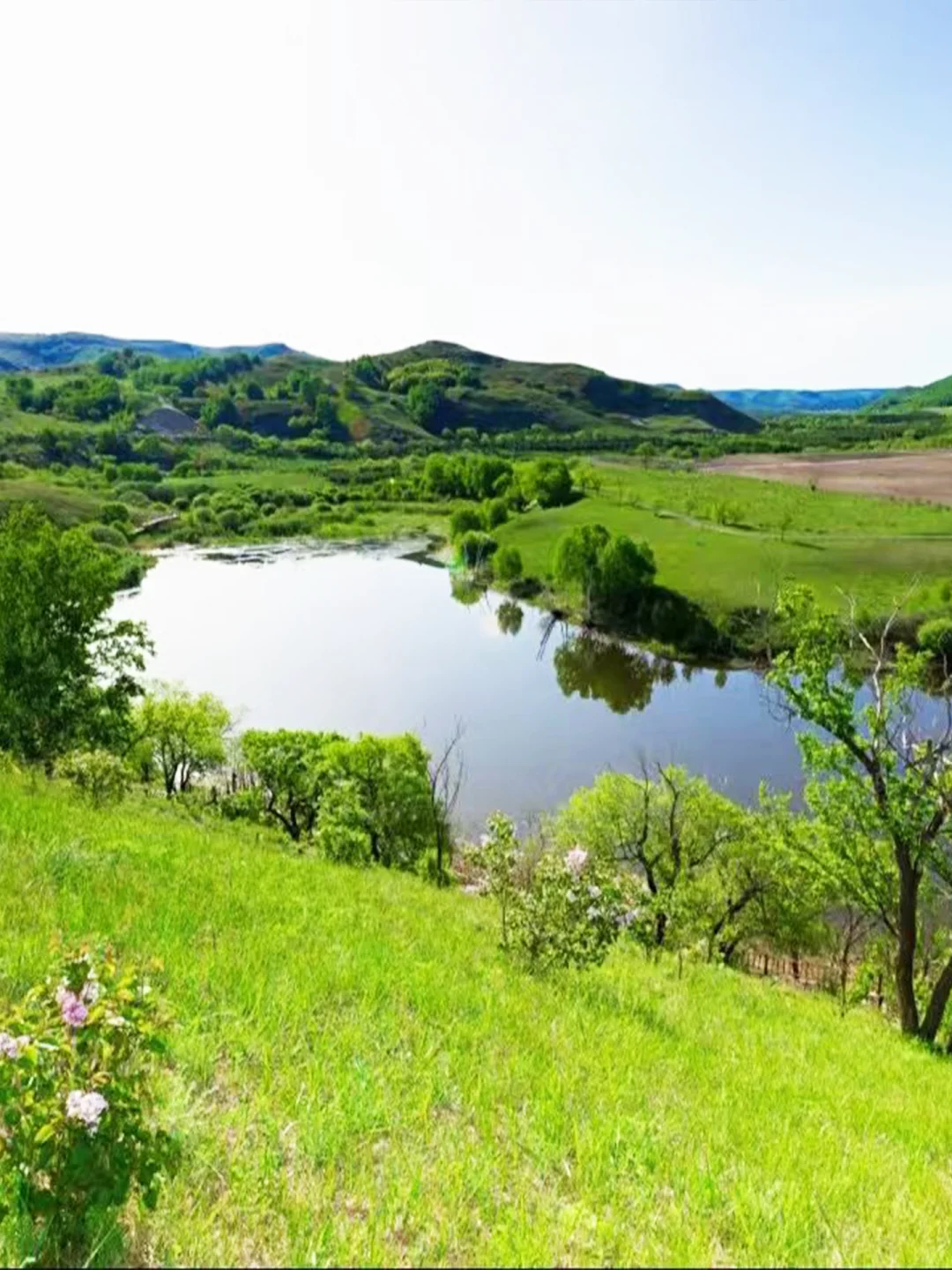 乌兰布统大草原｜我闯入Windows桌面