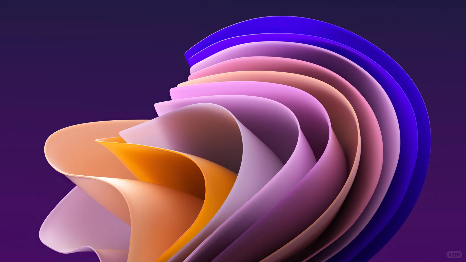 Win11-Moment2 4K超高清壁纸