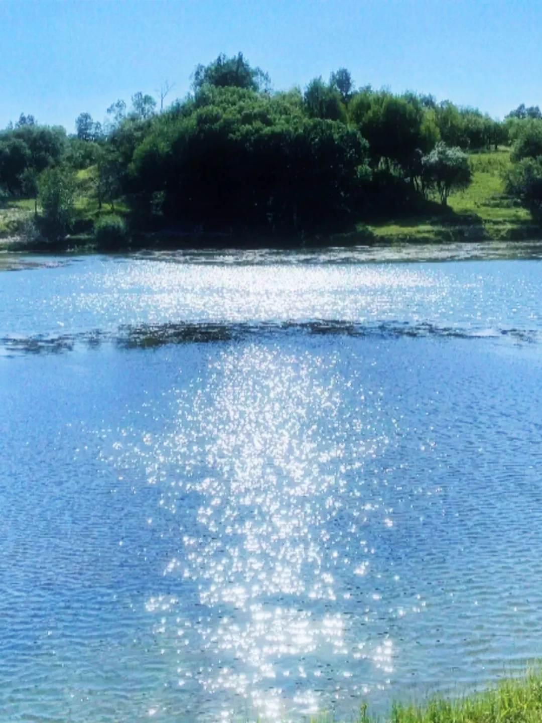 乌兰布统大草原｜我闯入Windows桌面