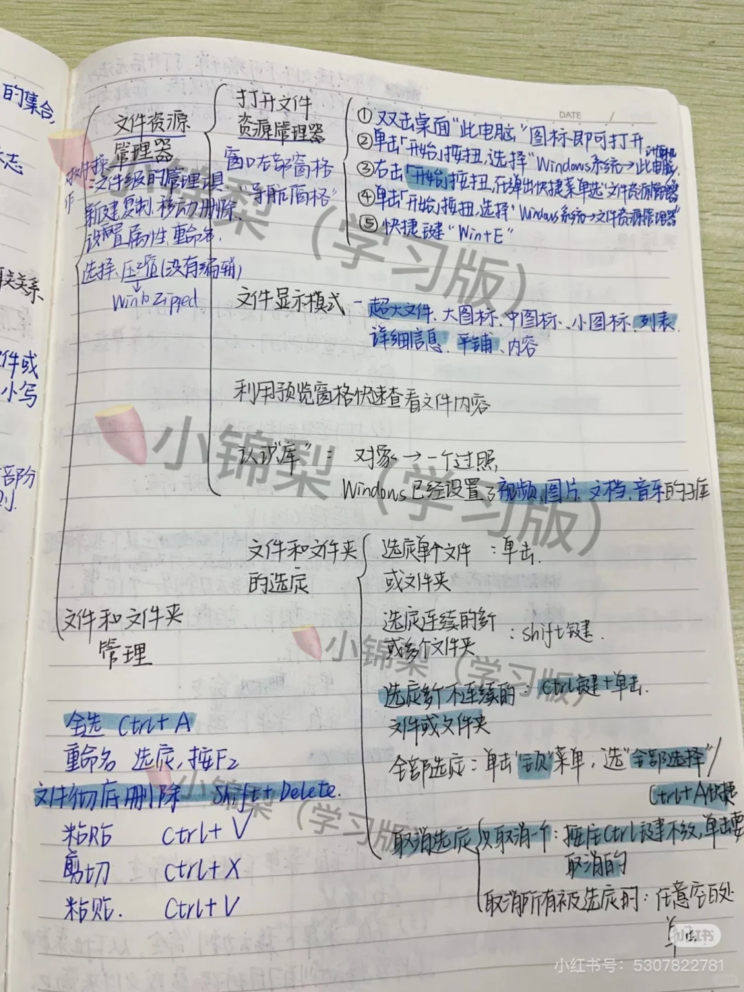 计算机第三章知识点来啦