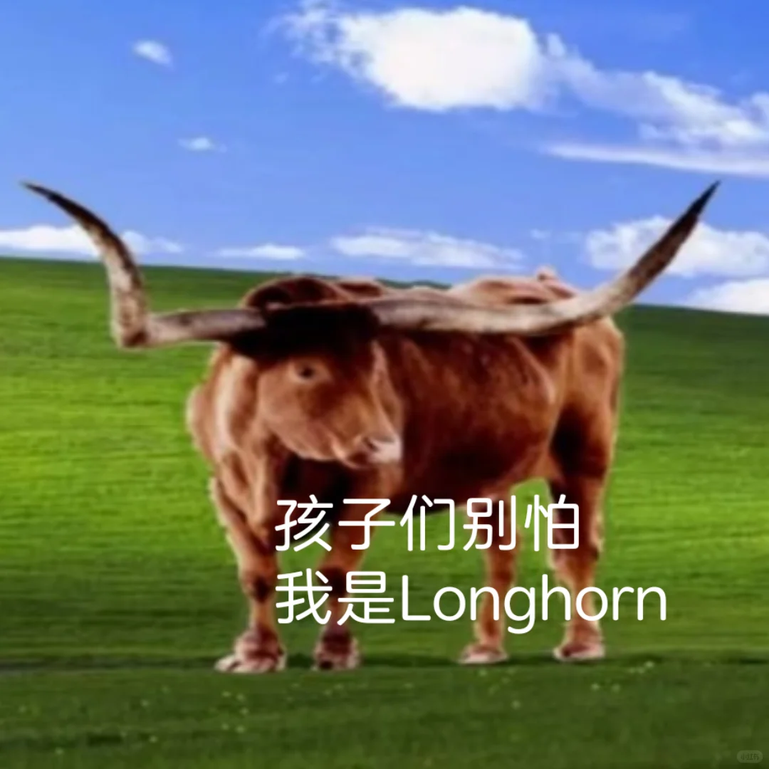 观5001有感，遂p（2）