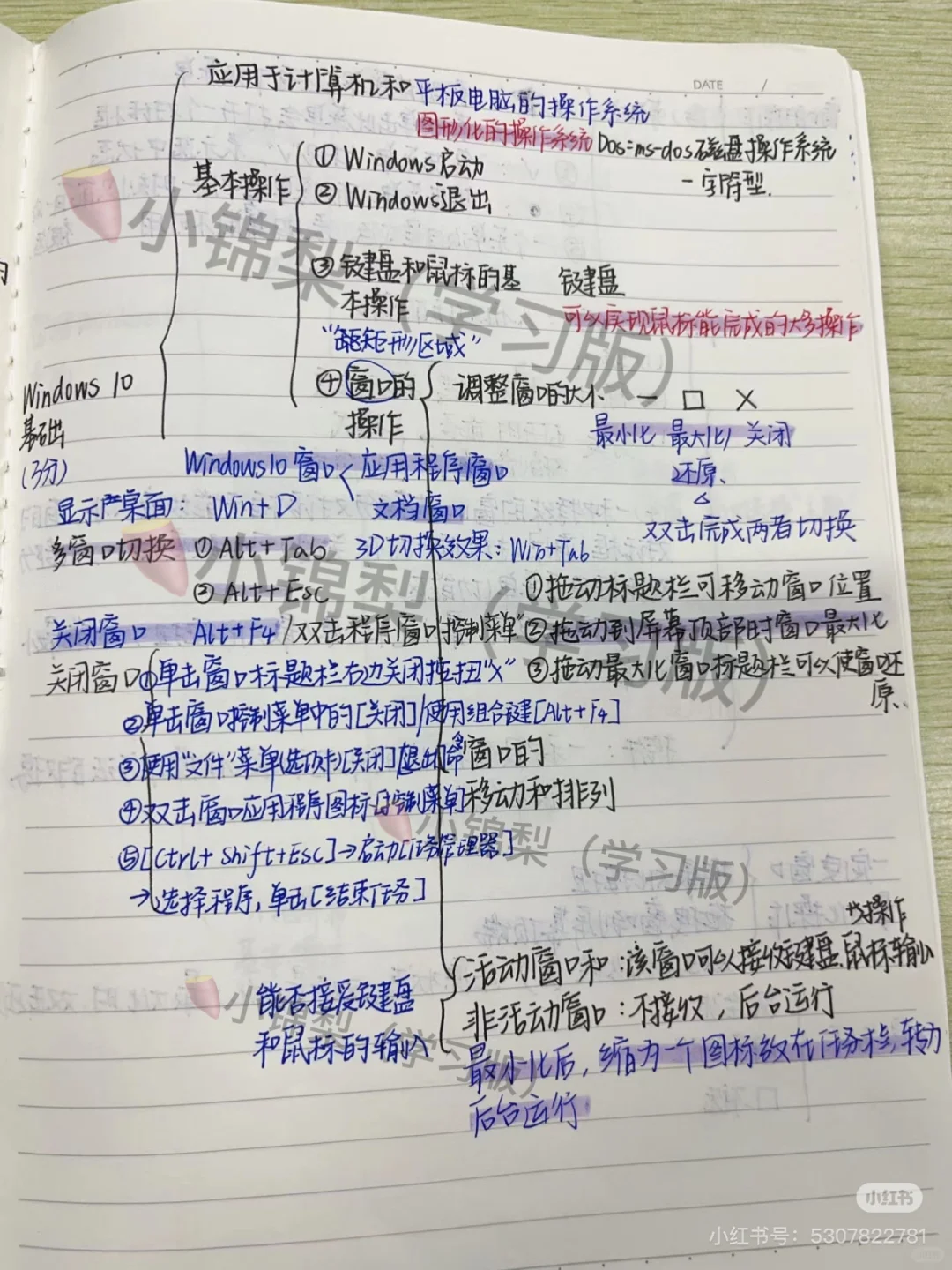 计算机第三章知识点来啦