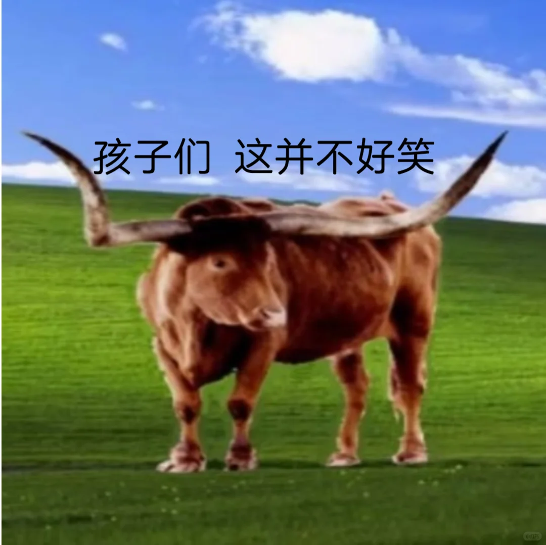 观5001有感，遂p（2）