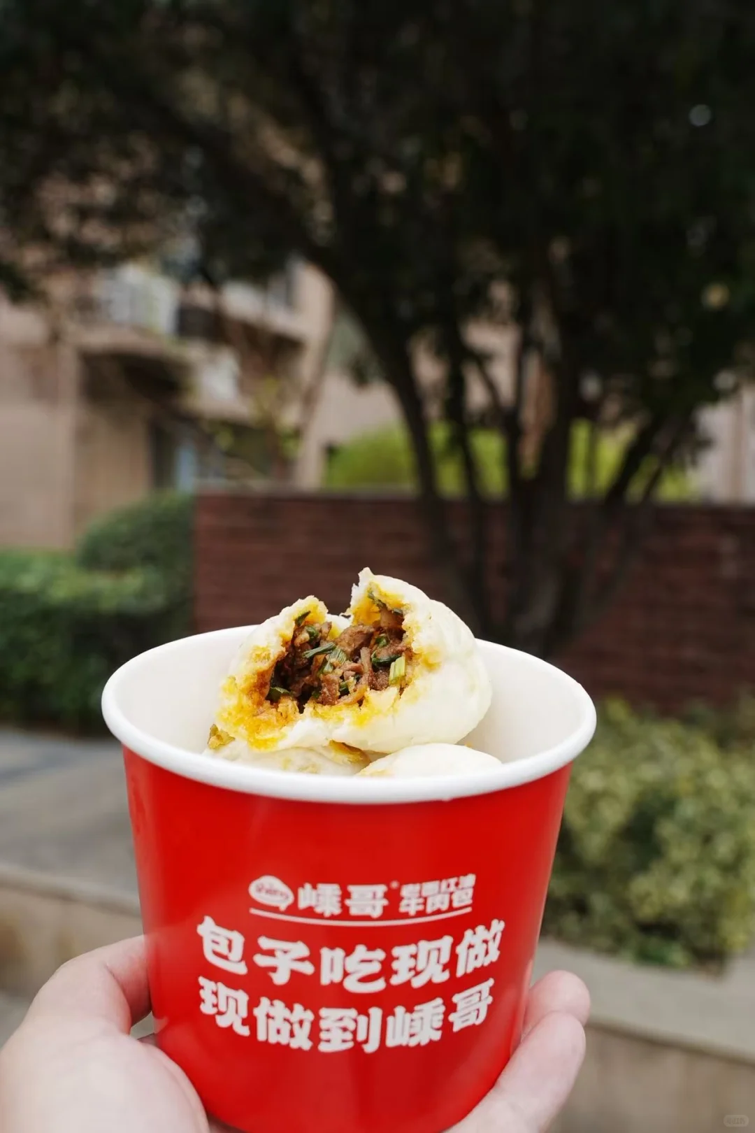 新品与热气的无限游戏