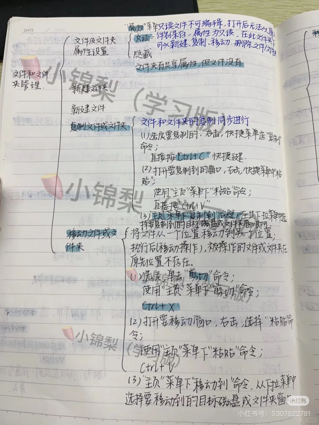 计算机第三章知识点来啦