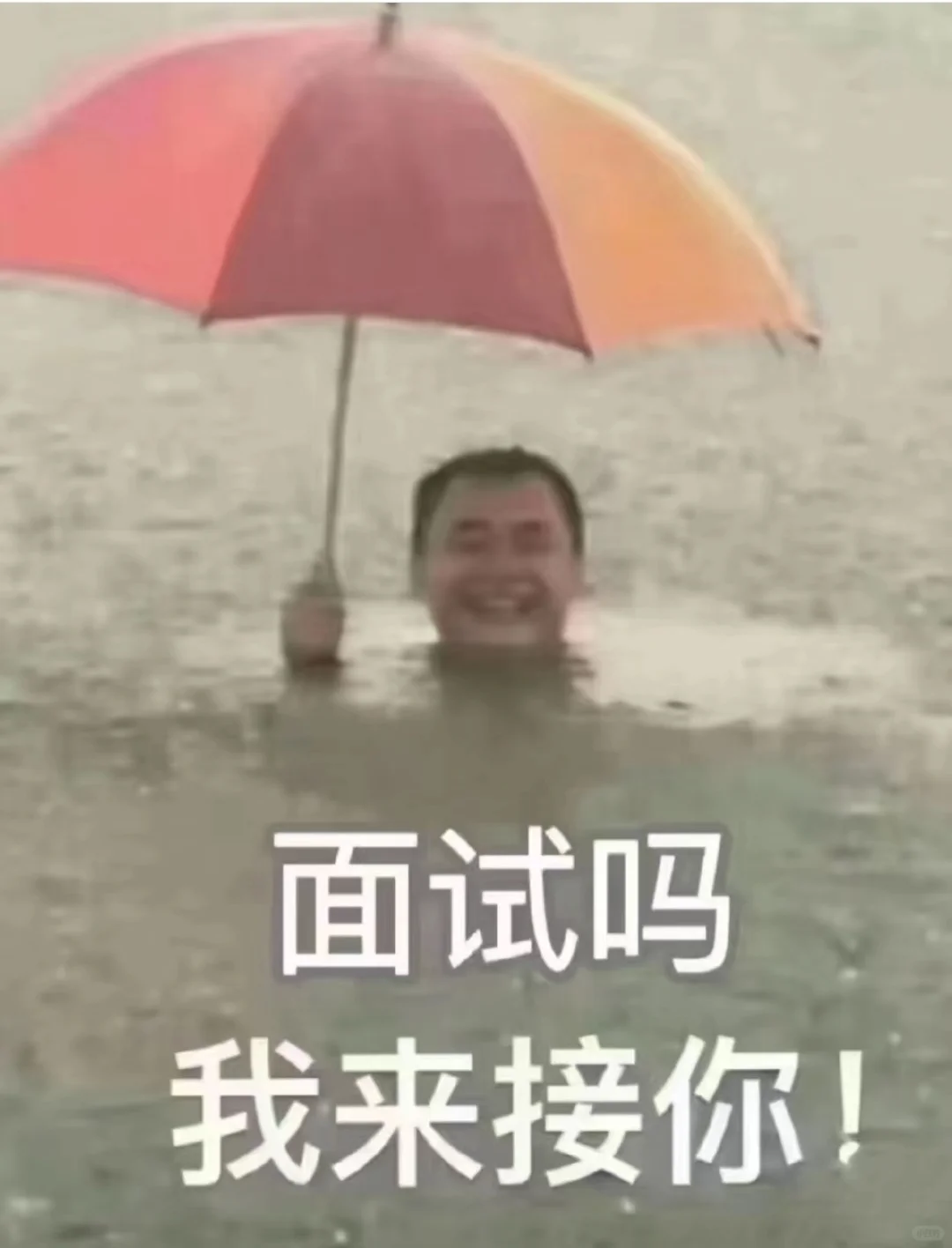霸道主播强制爱
