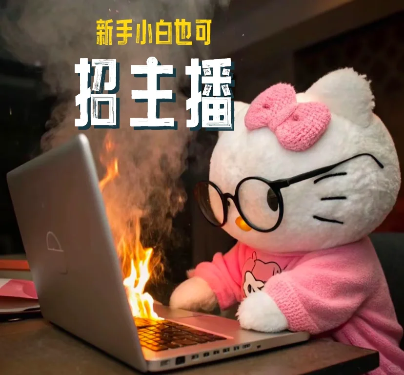 招主播,招主播