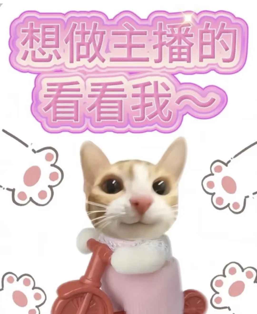 这是一条正儿八经的招主播帖子
