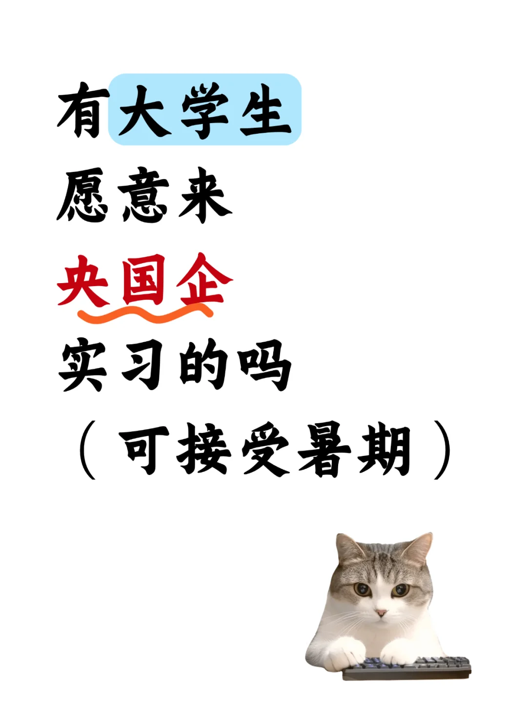 国企捞实习生❗?能来的应届大学生吗？