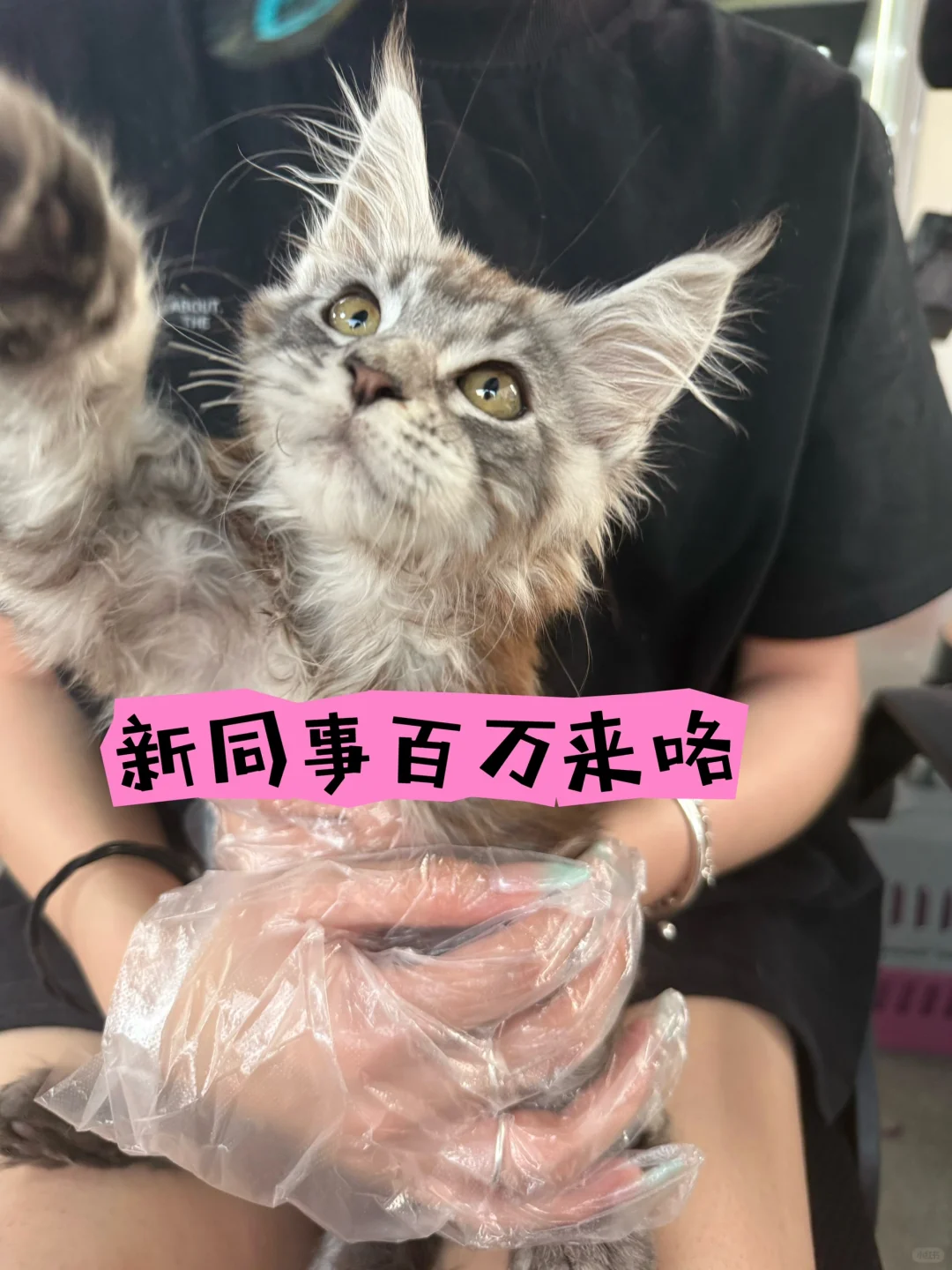 一则来自南宁市江南区的主播招聘贴～