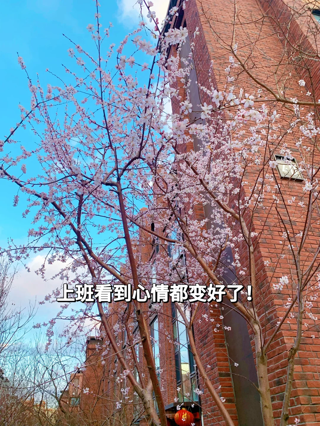 有没有姐妹一起直播!开宾利接你那种
