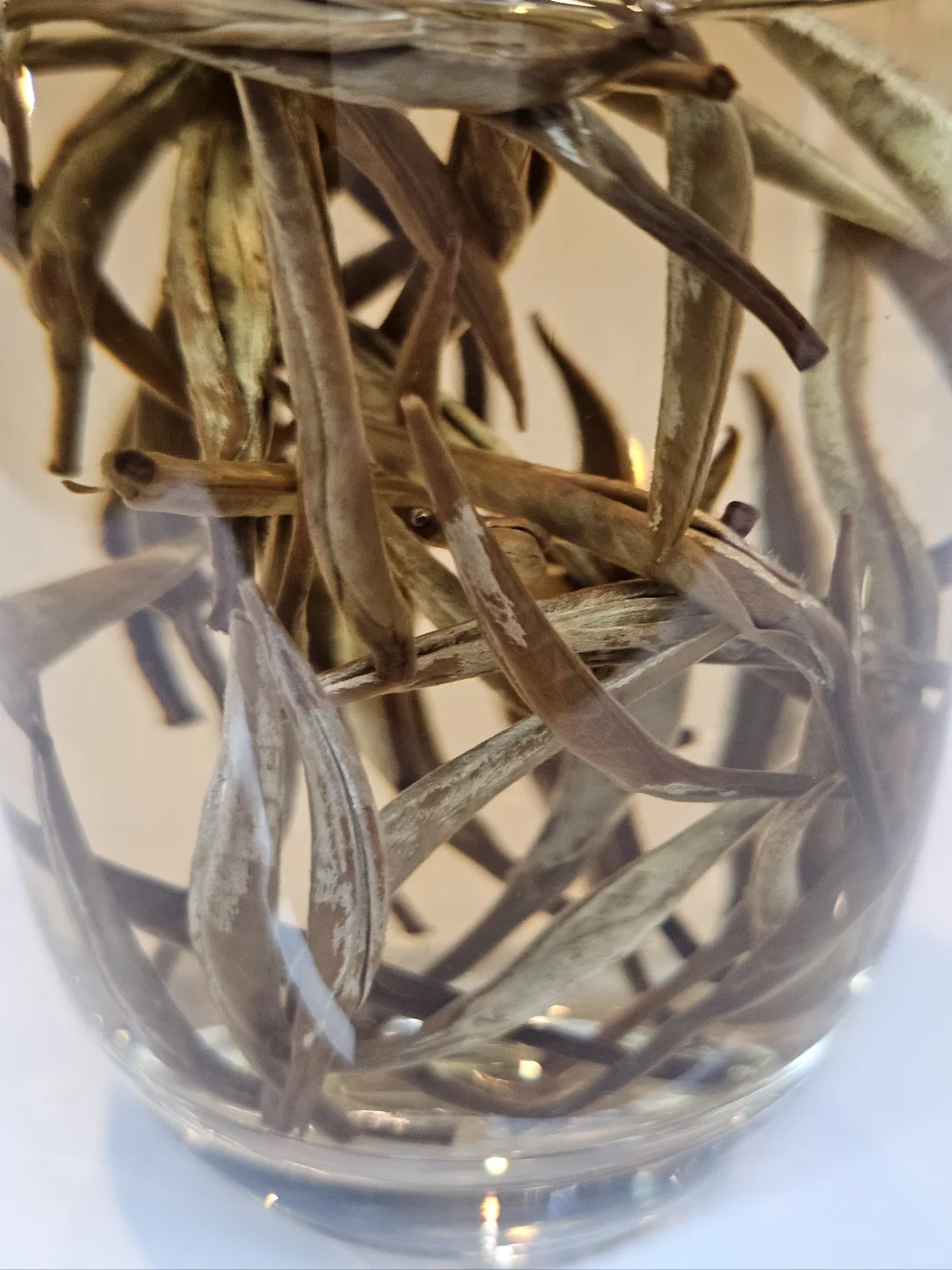 招聘直播带货主播✨✨✨