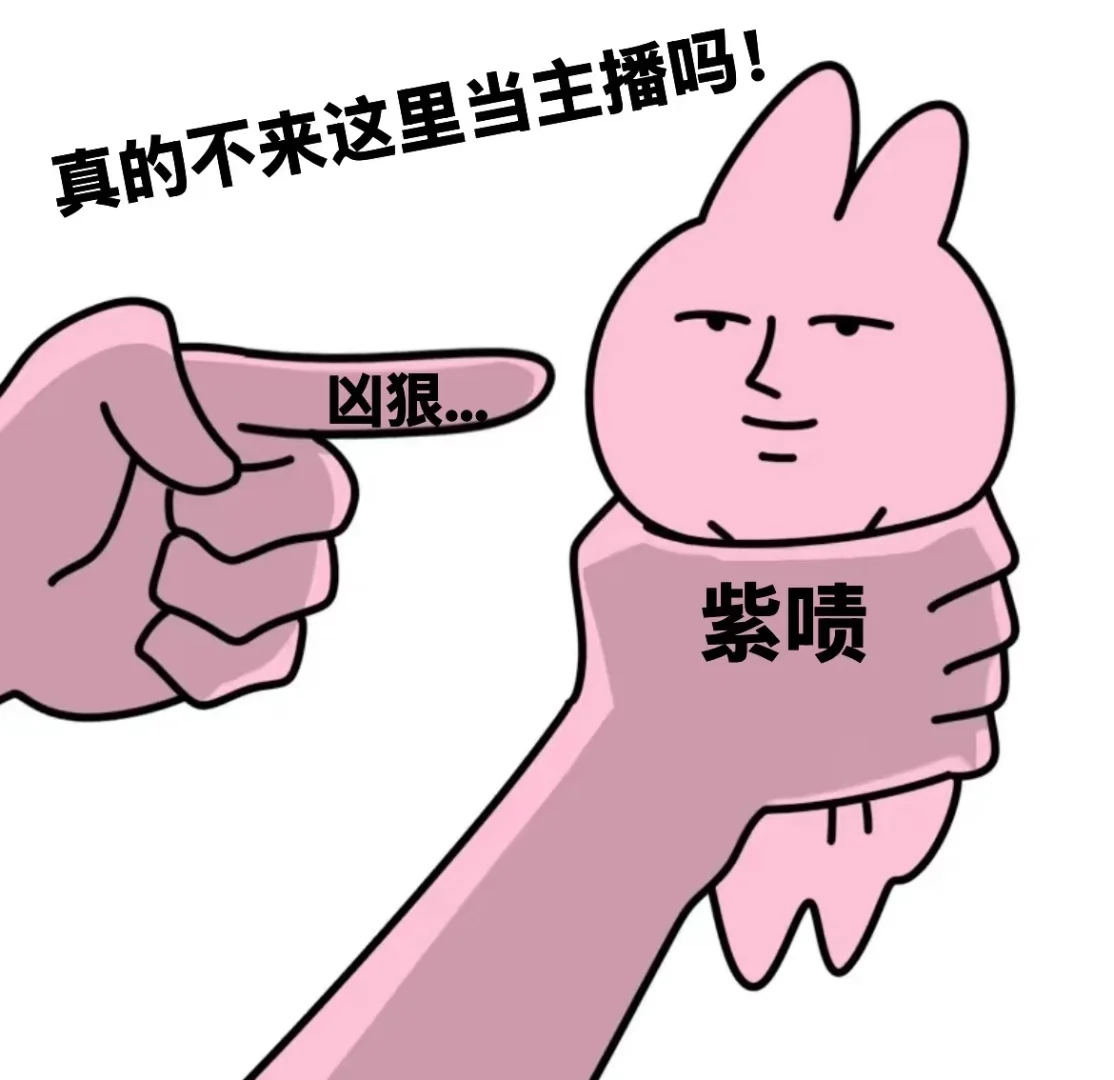 紫啧 真的不来做主播吗