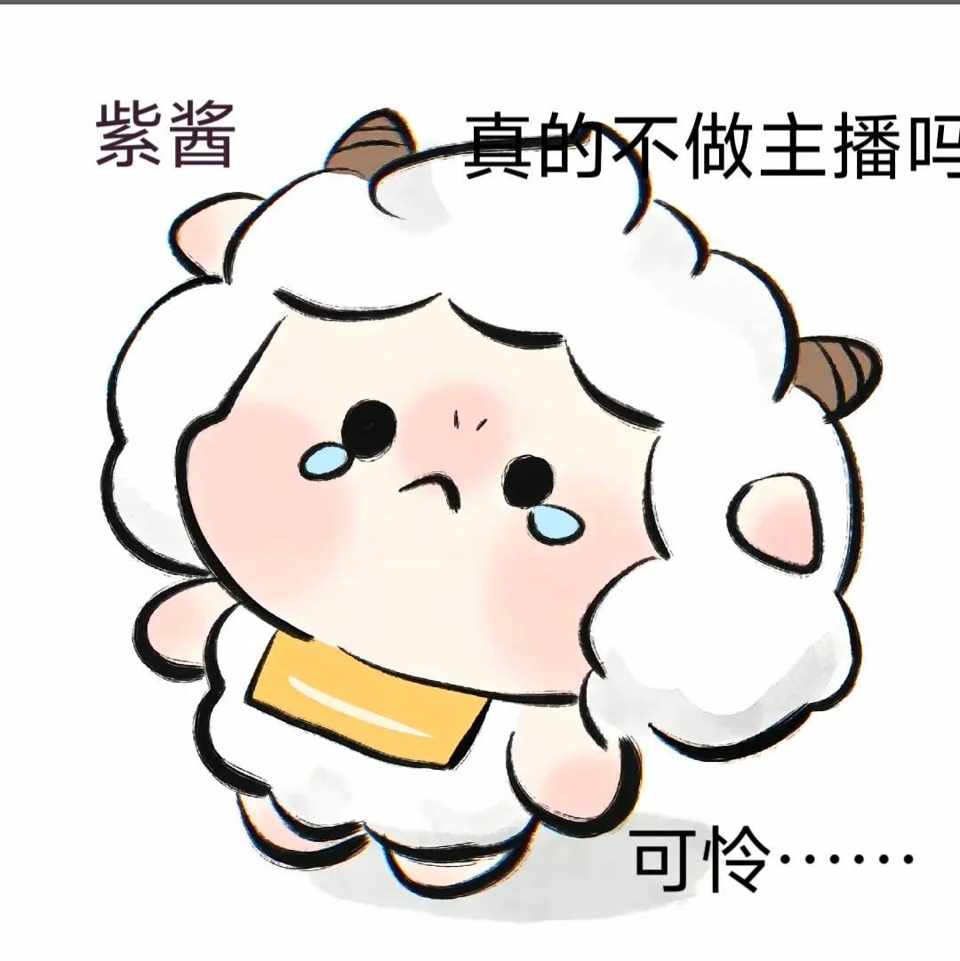 招主播招主播啦！！