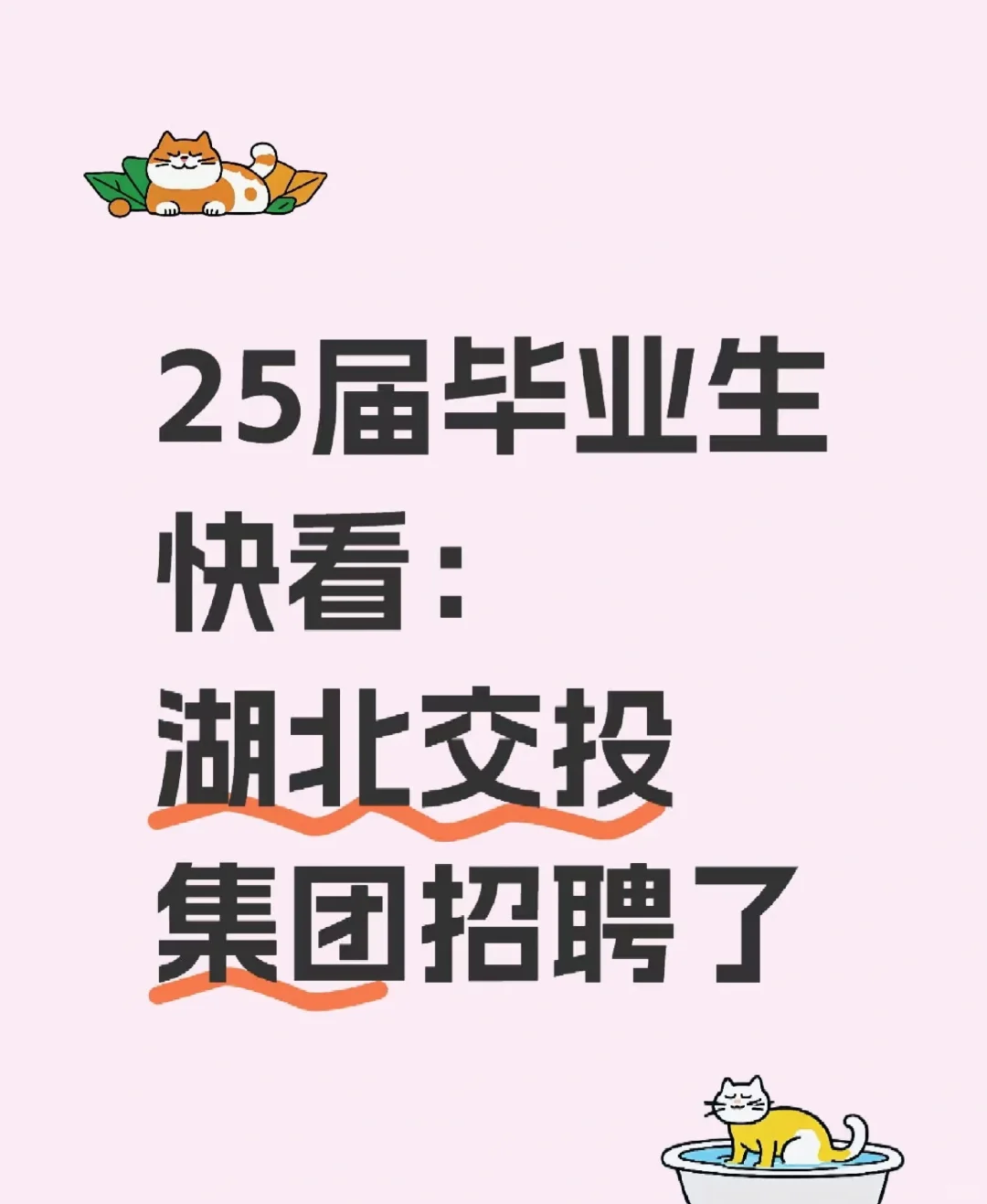 湖北交投集团招聘!