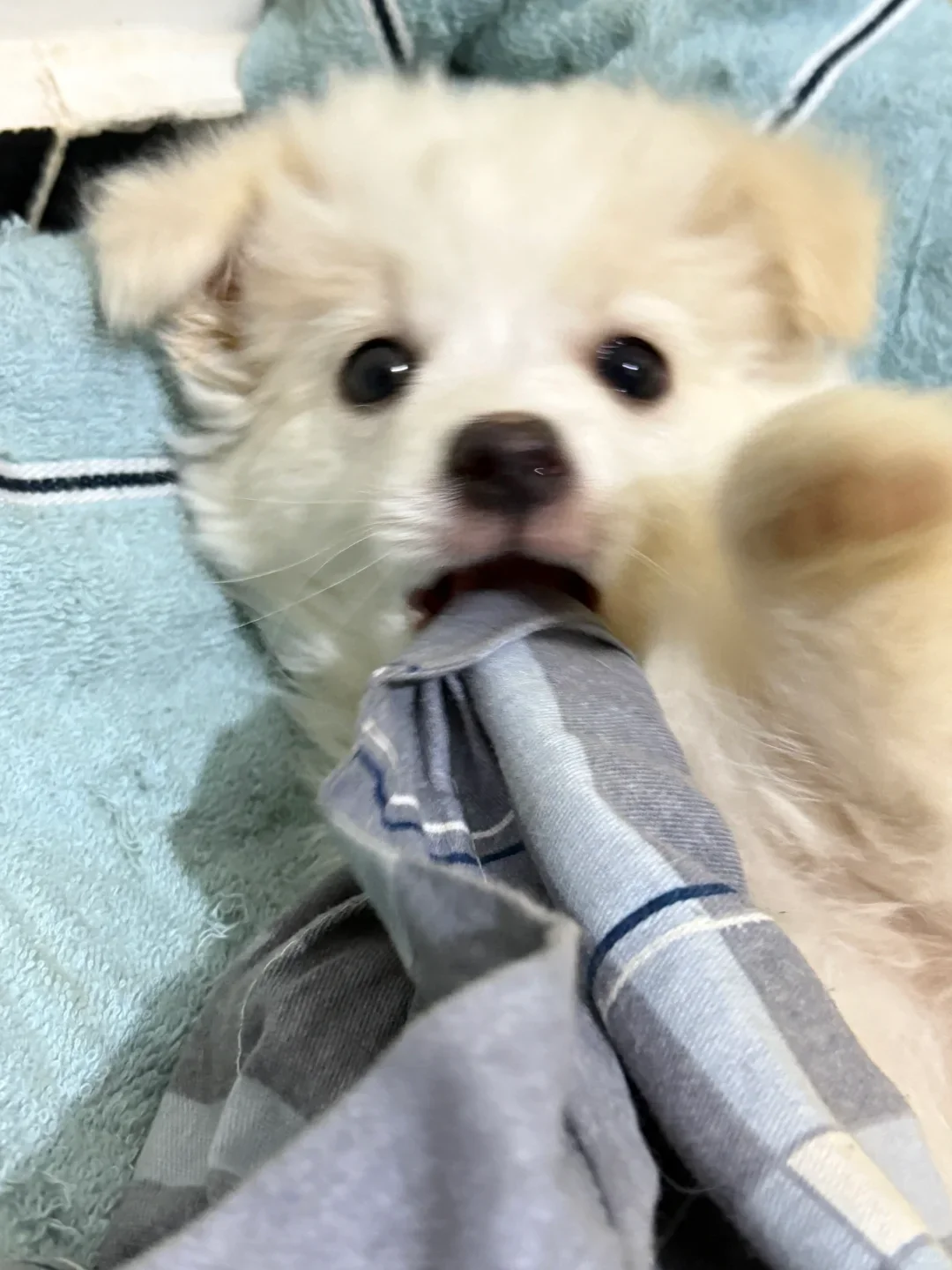 亲爱的宝儿们，你们现在在干嘛呢