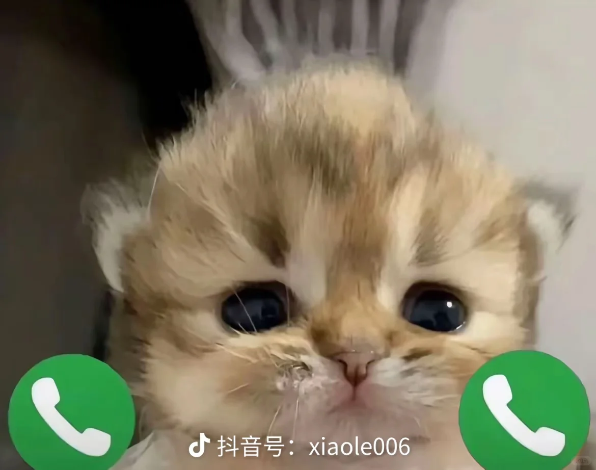 朋友魔怔一直想去当主播我担心她怎么劝!!