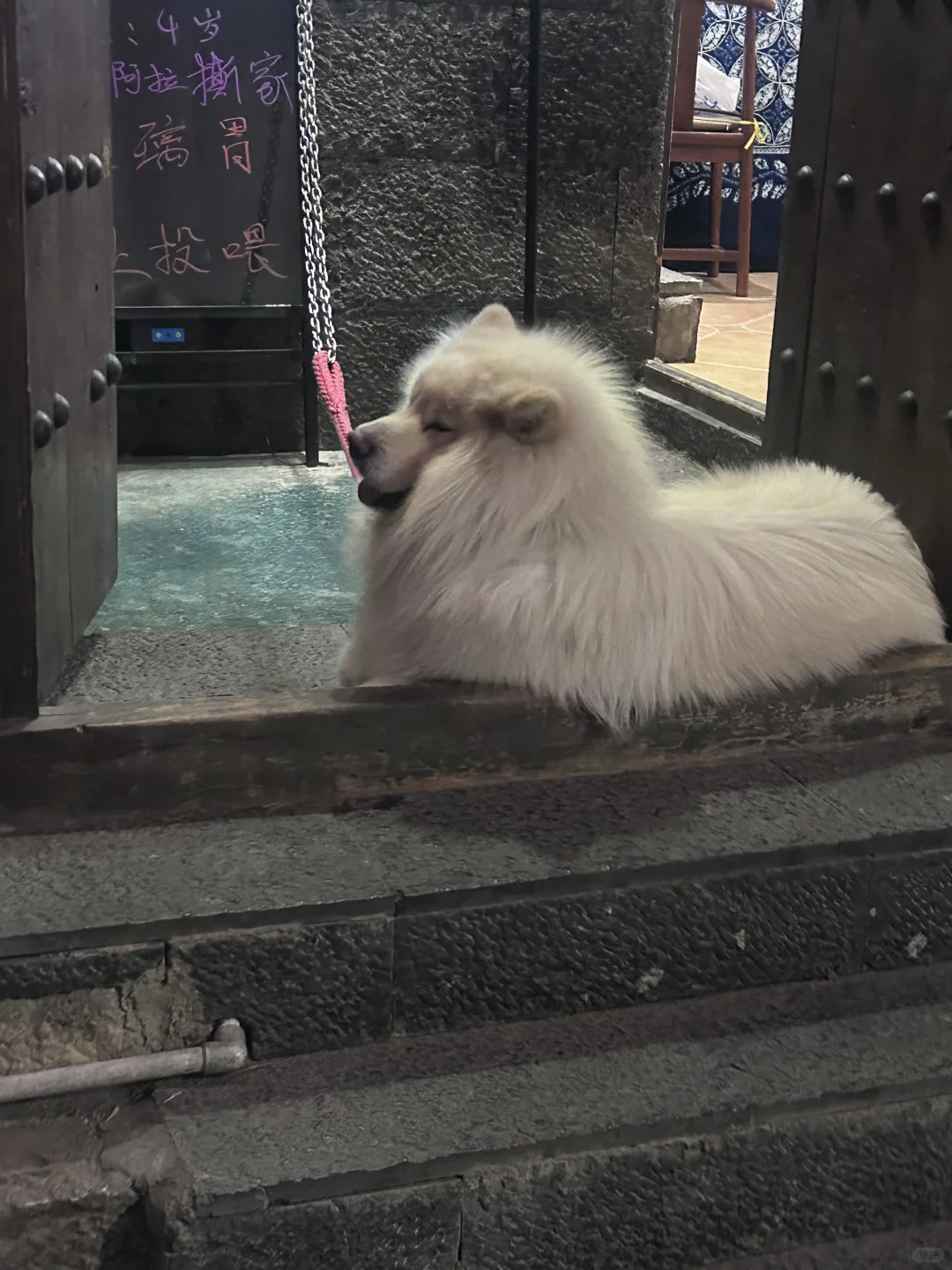 郑州兼职招聘！！大学生