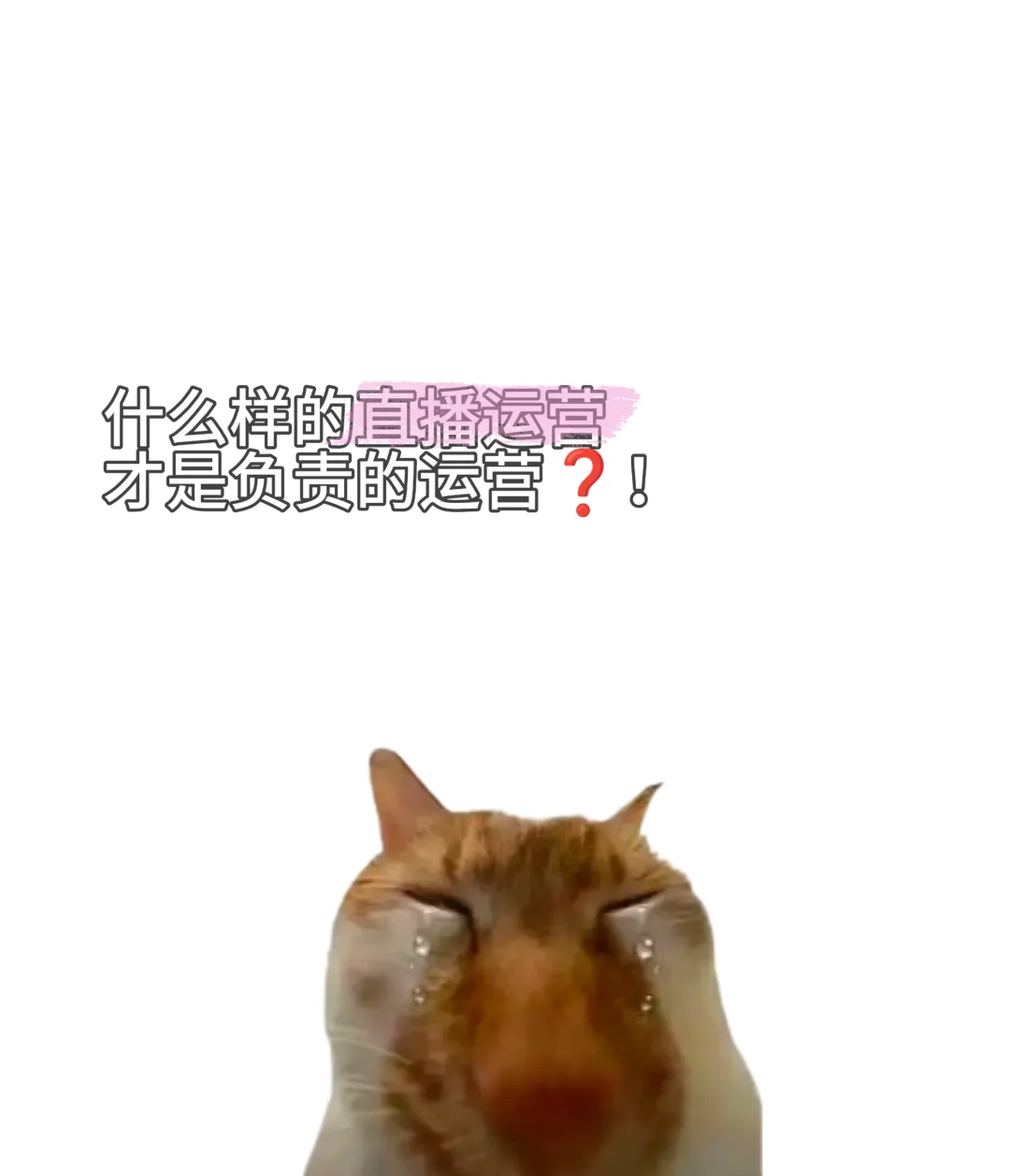想加公会？又怕被坑!!？