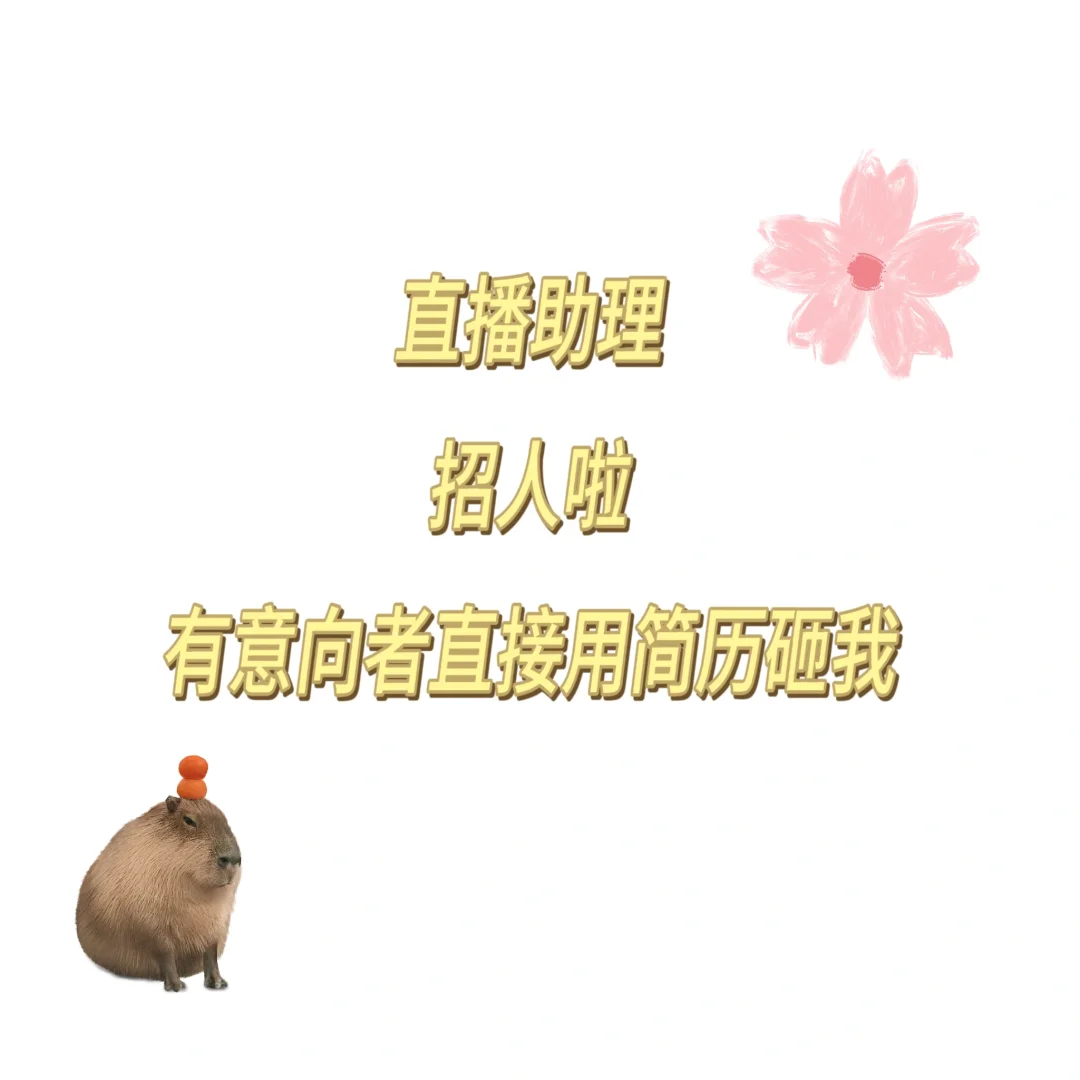 直播助理招聘啦！