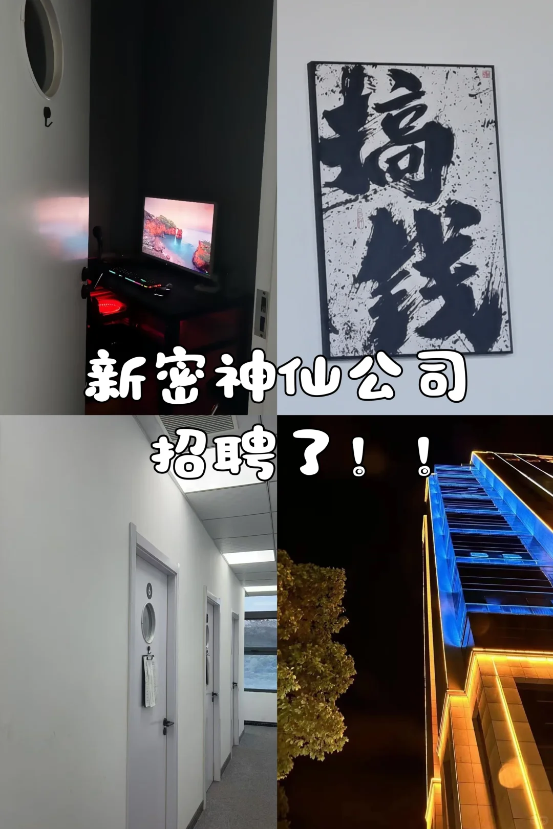 00 后超爱的岗位!速来?