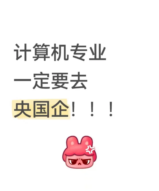 计算机专业一定要去央国企!!!