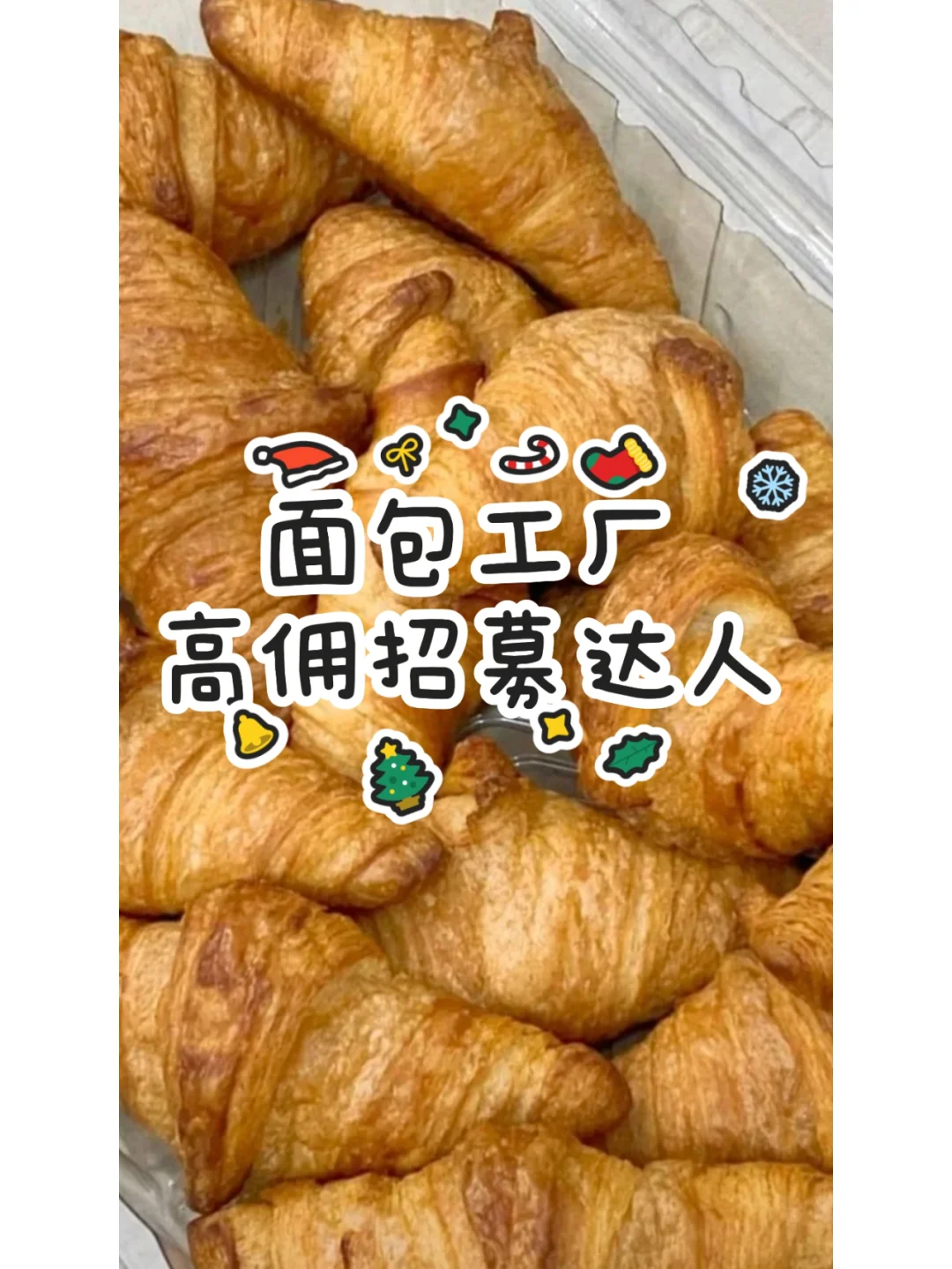 ?魅力面包工厂紧急召集直播带货拍档啦!