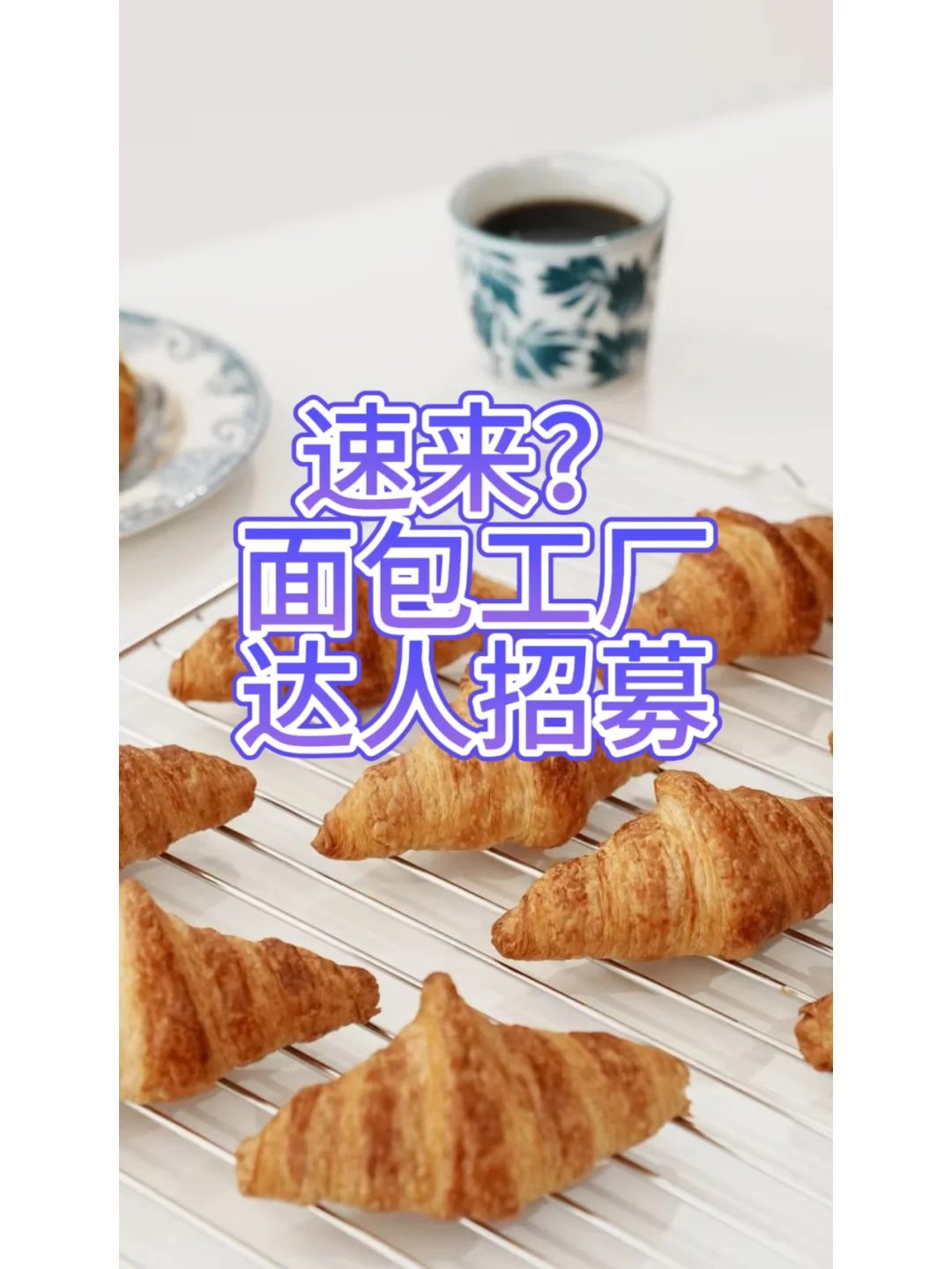 ?面包工厂,疯狂寻觅直播带货搭子啦!