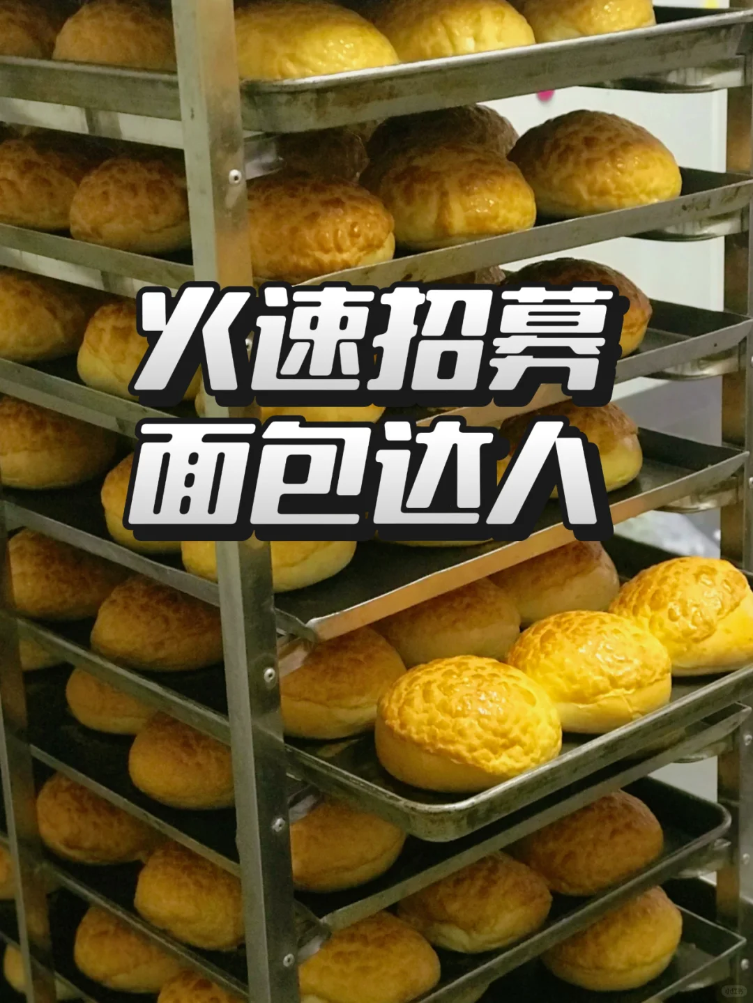 面包工厂喊你合作啦!直播达人别错过!