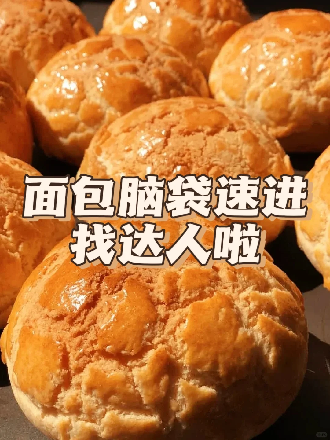 ?面包工厂，紧急招募直播带货伙伴啦！