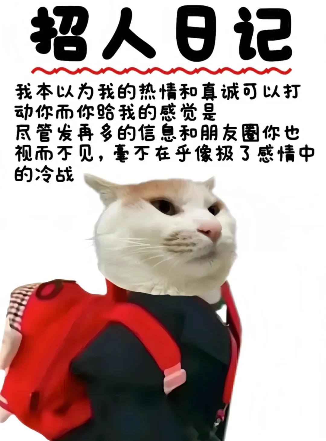 怎么才能招到主播！！！