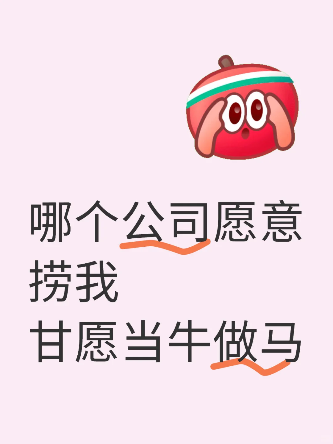 哪个公司愿意捞我甘愿当牛做马
