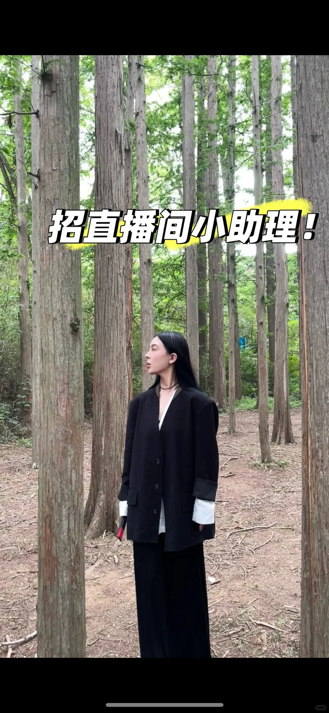 沈阳招聘直播间助理