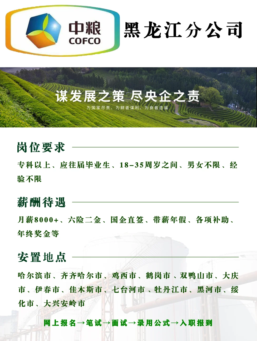 中粮集团黑龙江分公司正式员工，不辞不退❗