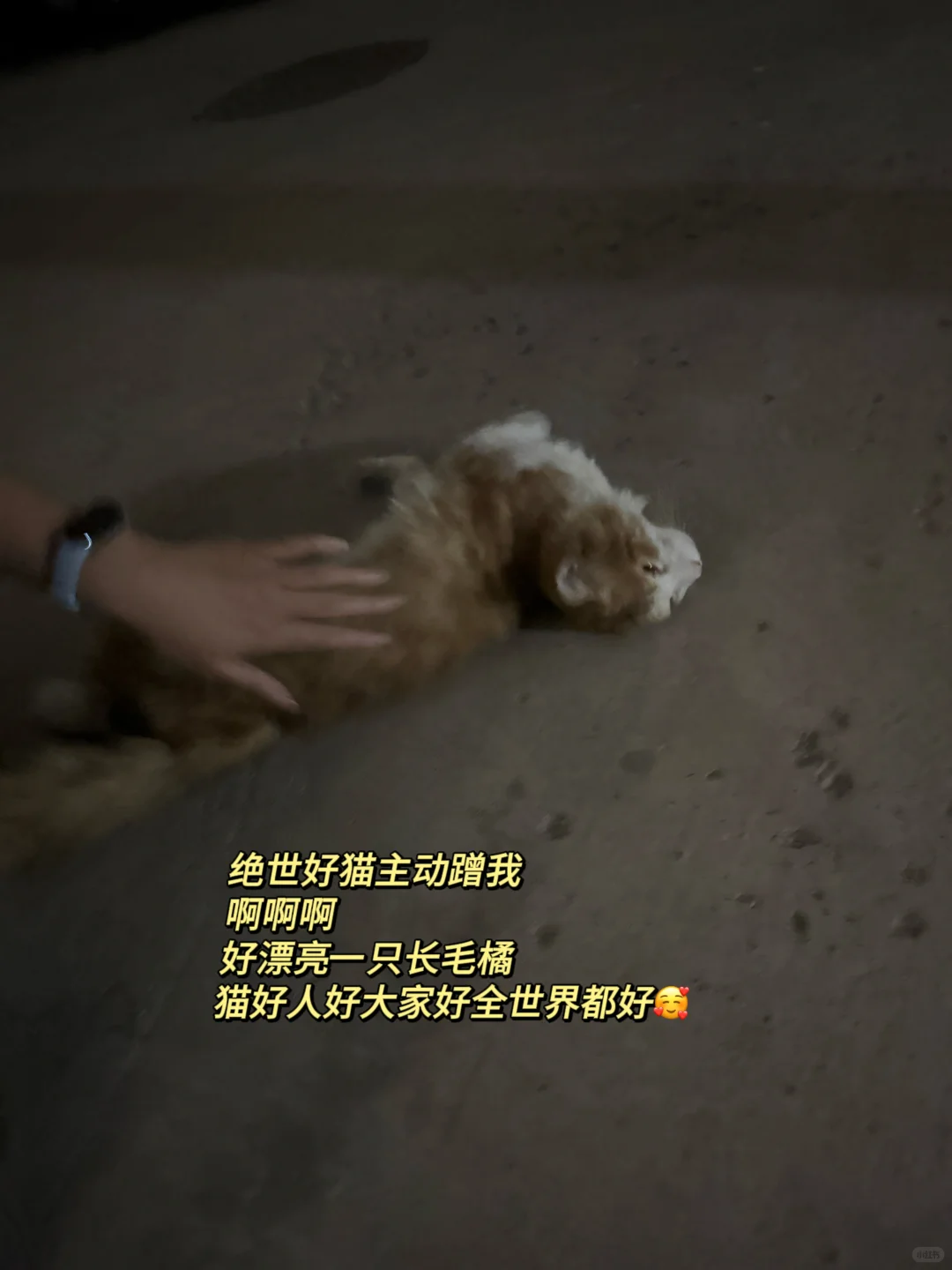 春招or夏招?|还有捡漏的机会!