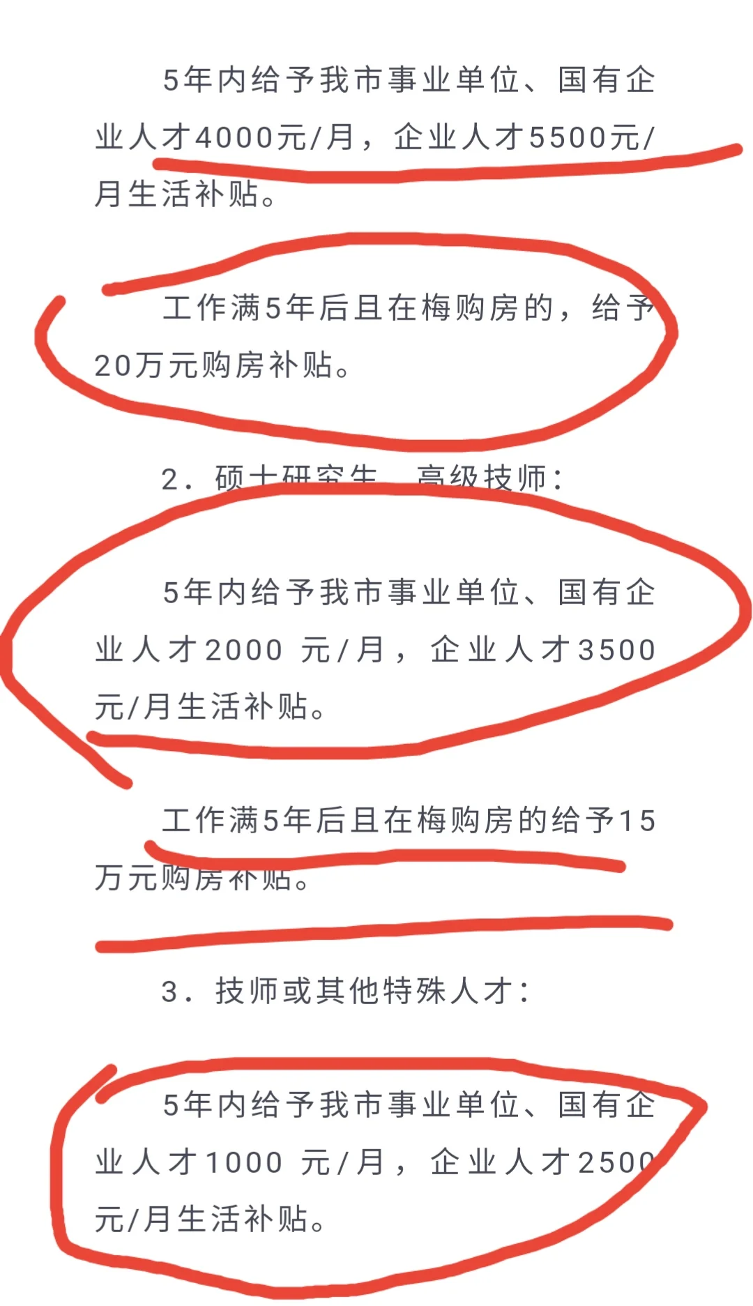 浙江人才引进，本科也能葱，免笔试❗️