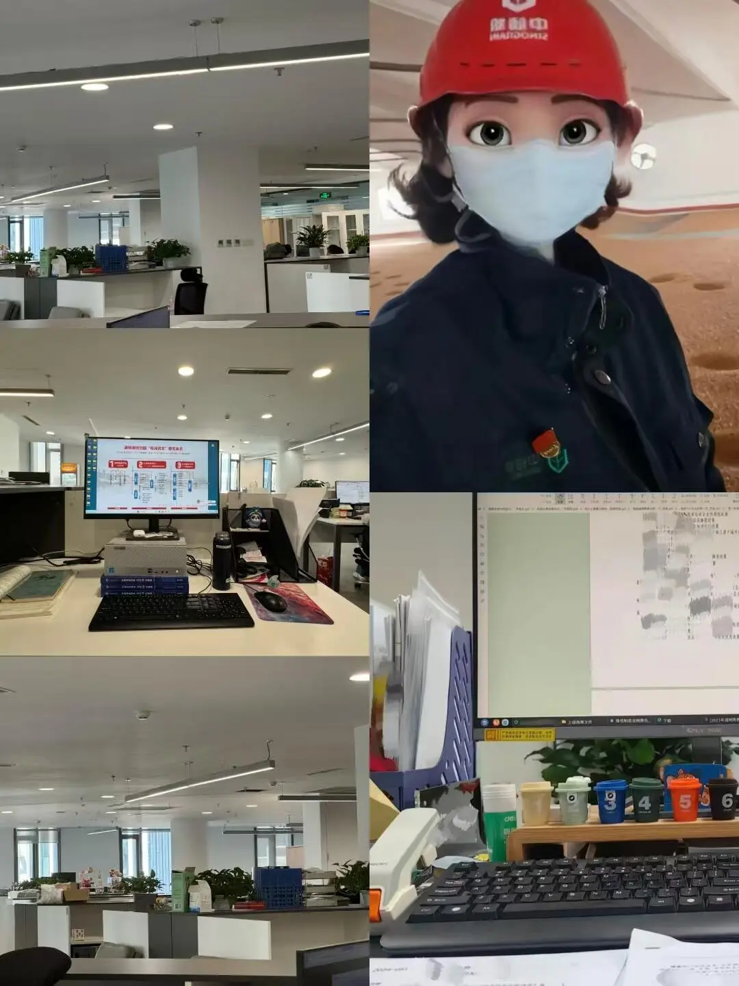 看!中储粮来了!中国储备粮管理集团(直签