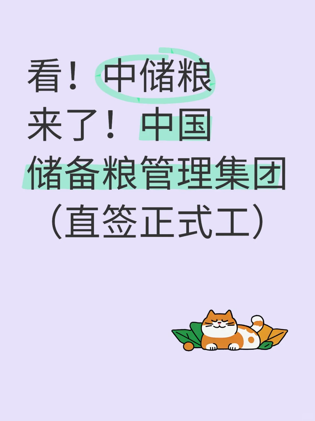 看!中储粮来了!中国储备粮管理集团(直签