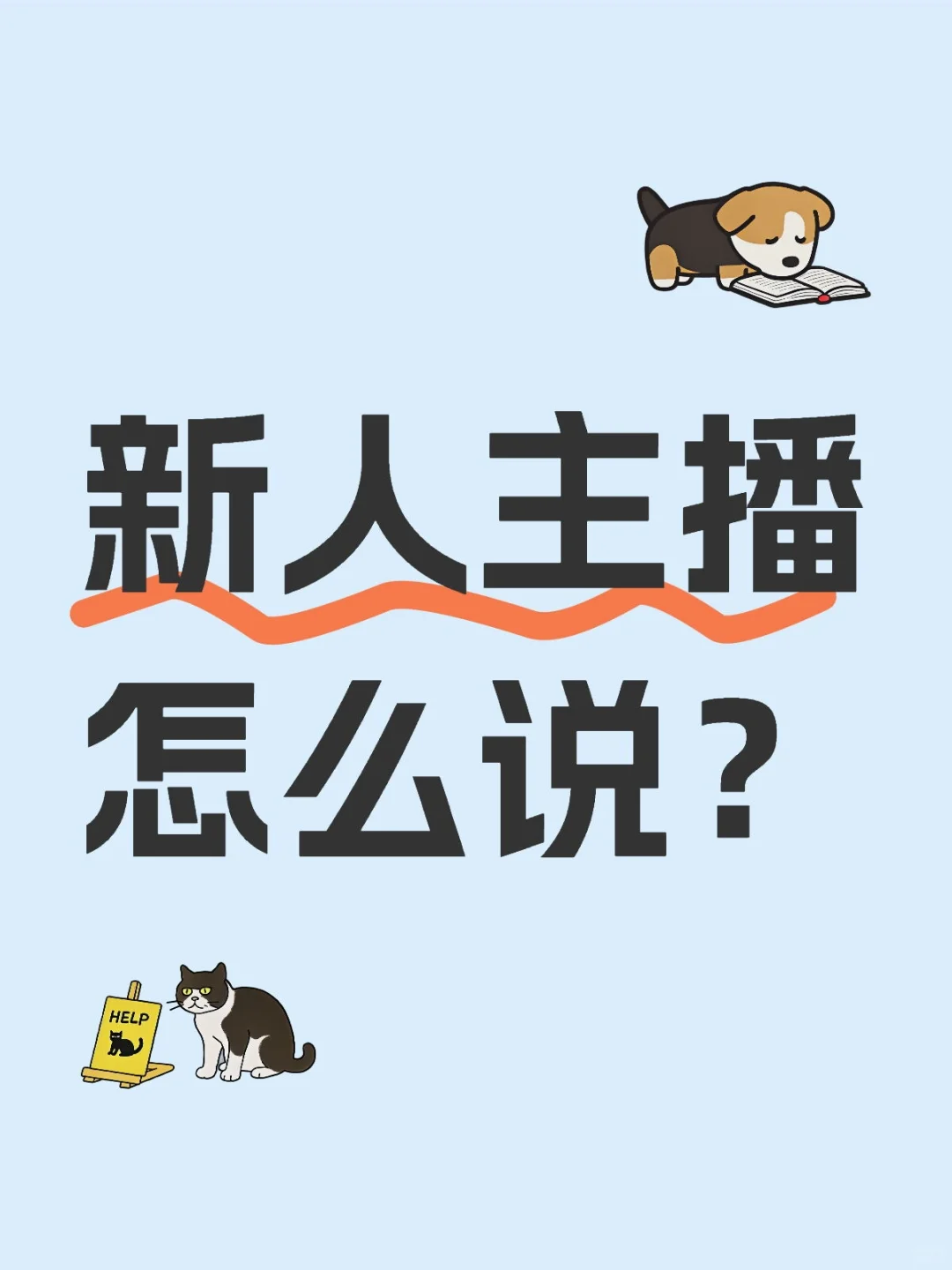 新人主播怎么说?