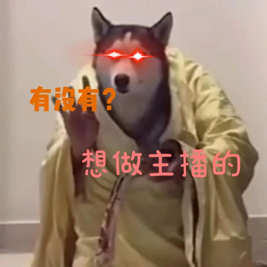 一个只想要主播的抓狂HR