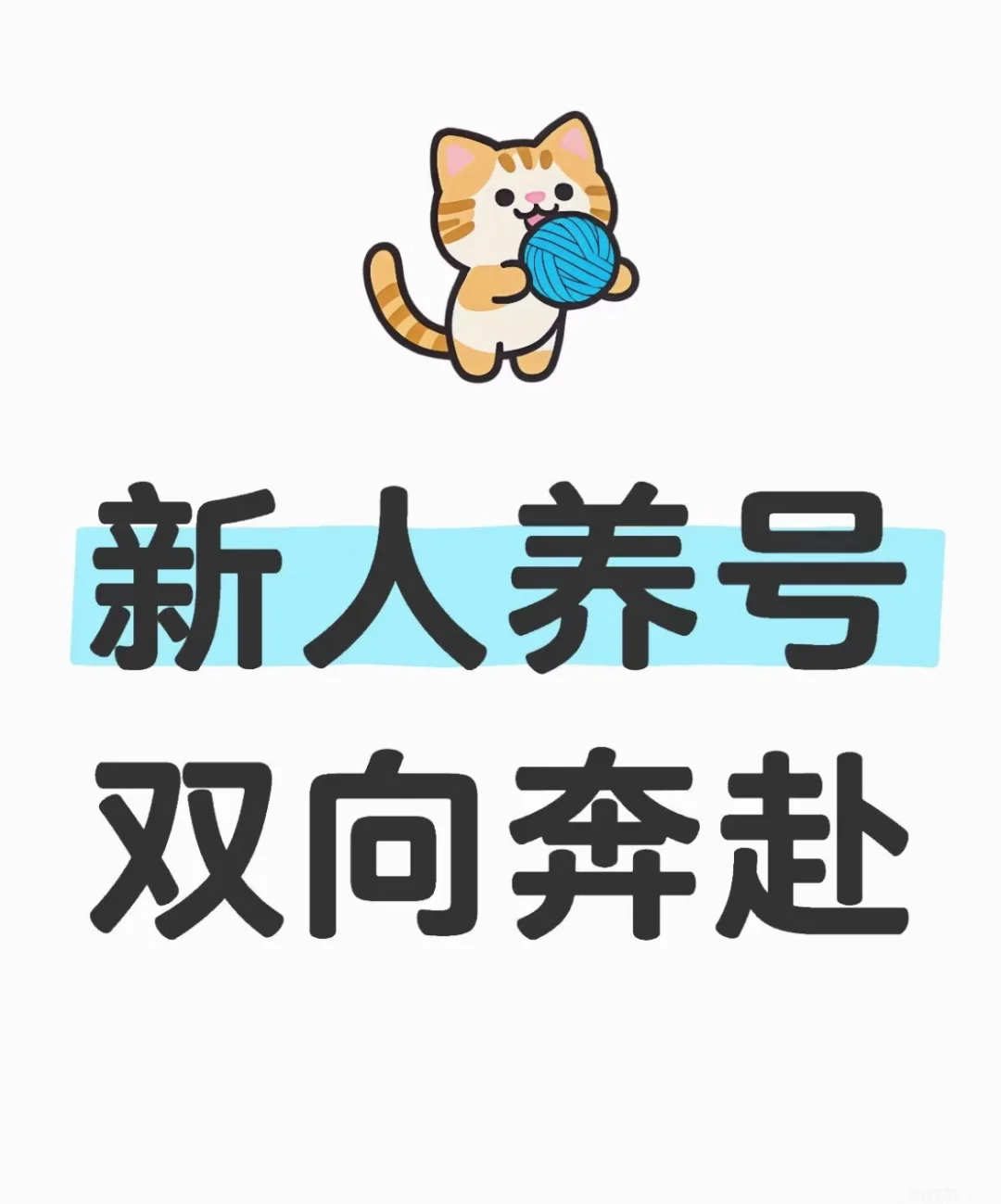 新人起号 !