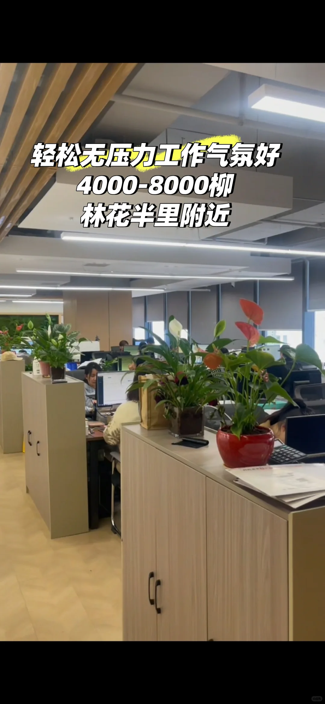 附近文员等你来