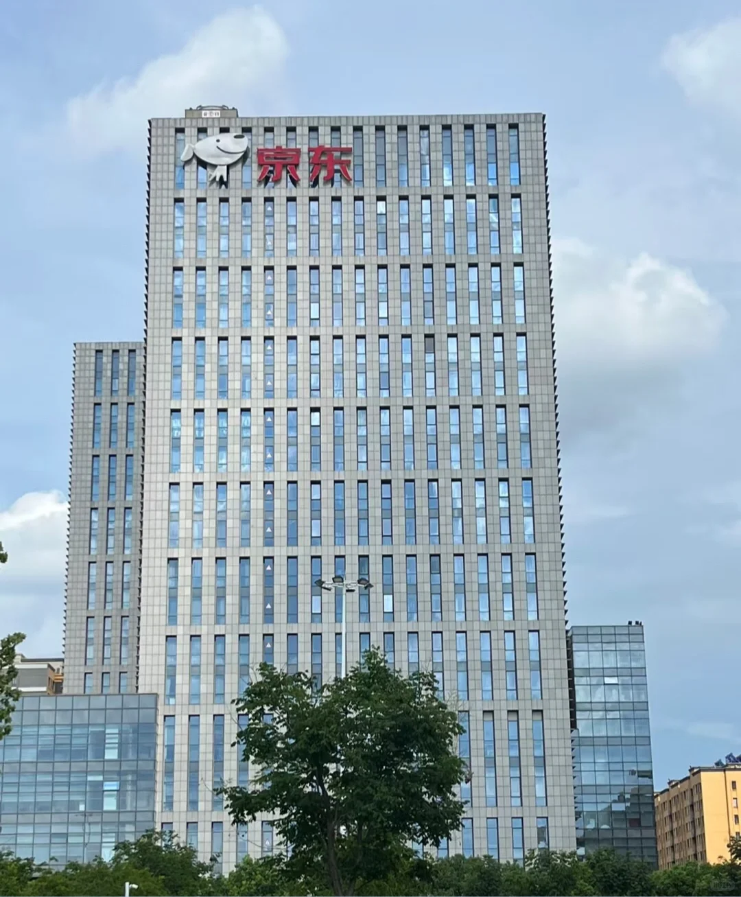 京东内推岗位