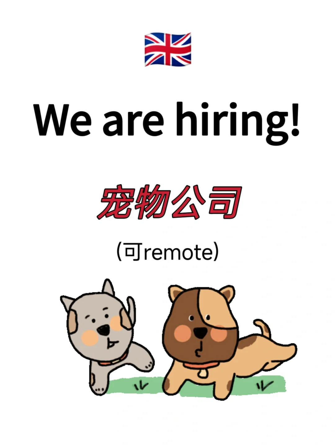 ??宠物初创：join us!可remote
