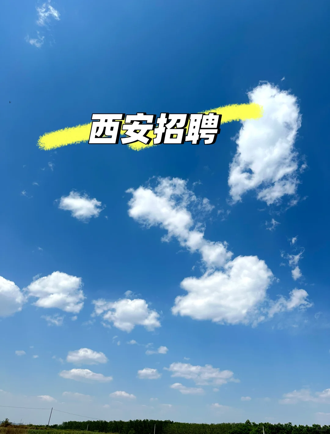 西安招聘电商直播编导薪资8-12K